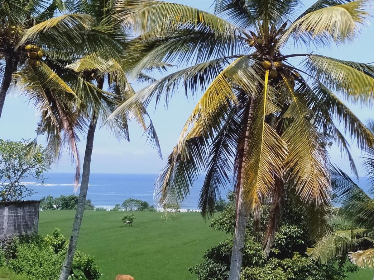 Jembrana Medewi Beach View Villa المظهر الخارجي الصورة